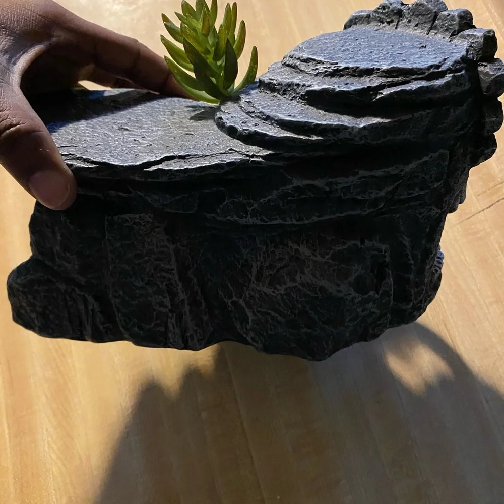 Reptile fancy rock